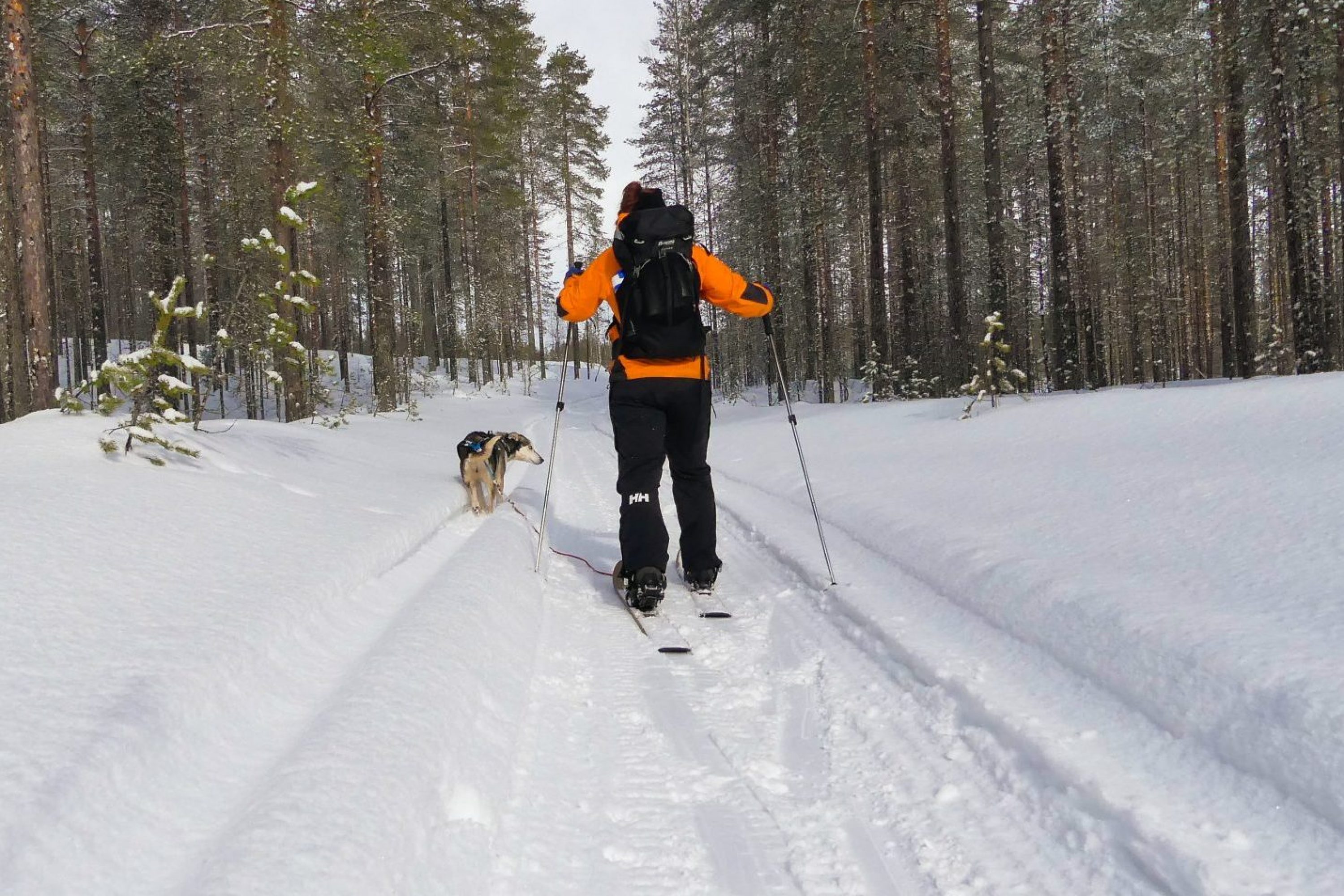 Mies ja koira ulkoilemassa talvisessa metsässä