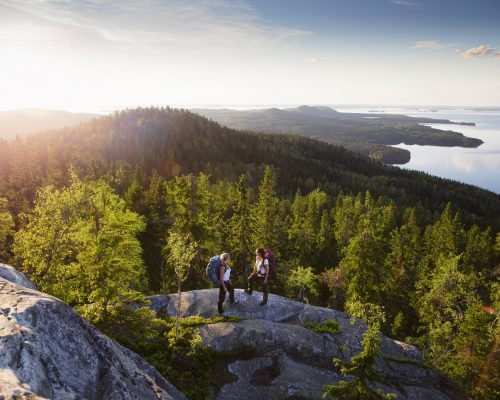 https://www.visitkarelia.fi/files/day-6-harri-tarvainen-koli-summer_vk.jpg