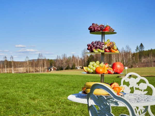 Hedelmiä tarjottimella idyllisessä maalaismaisemassa