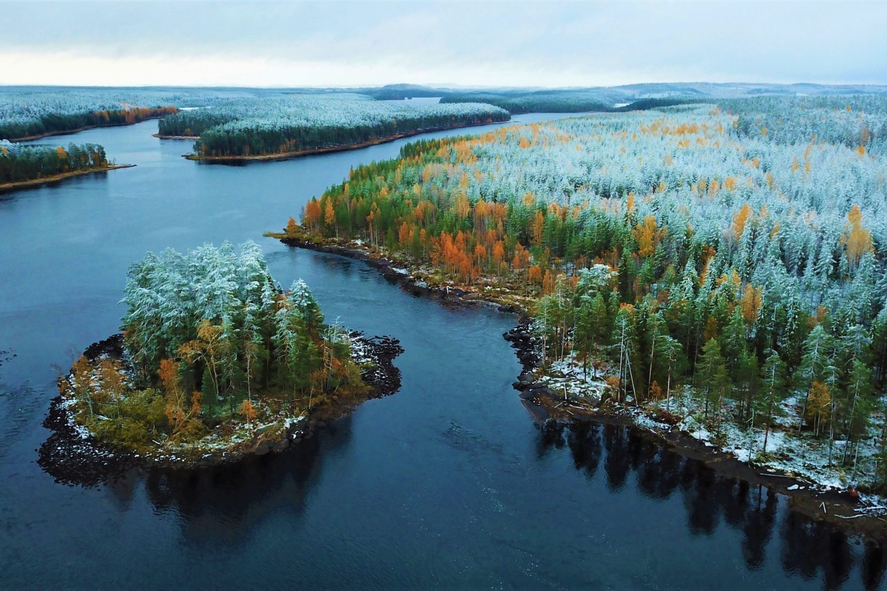 Snowy forests by the Ruunaa rapids