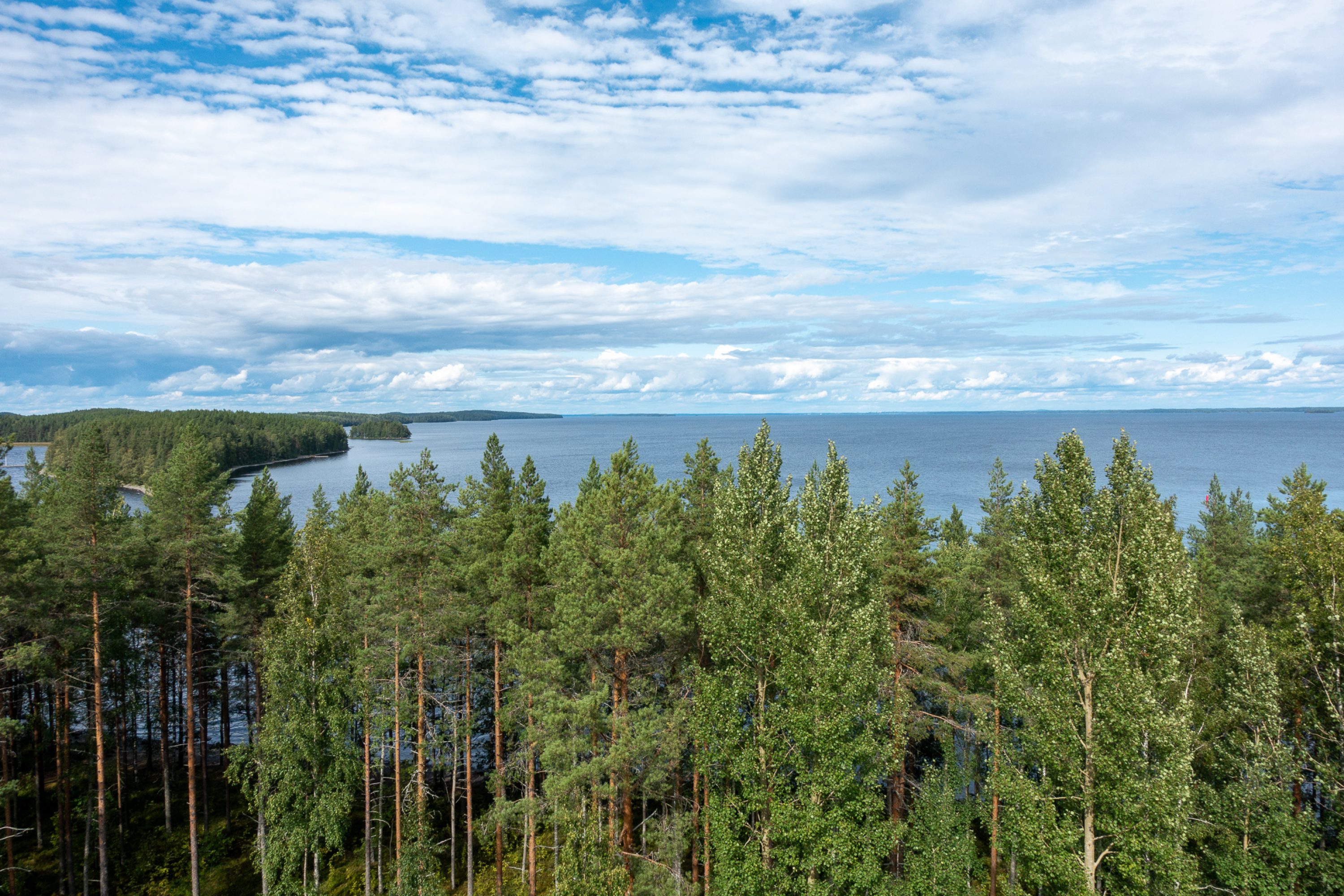 Näkymät lintutornista järvelle