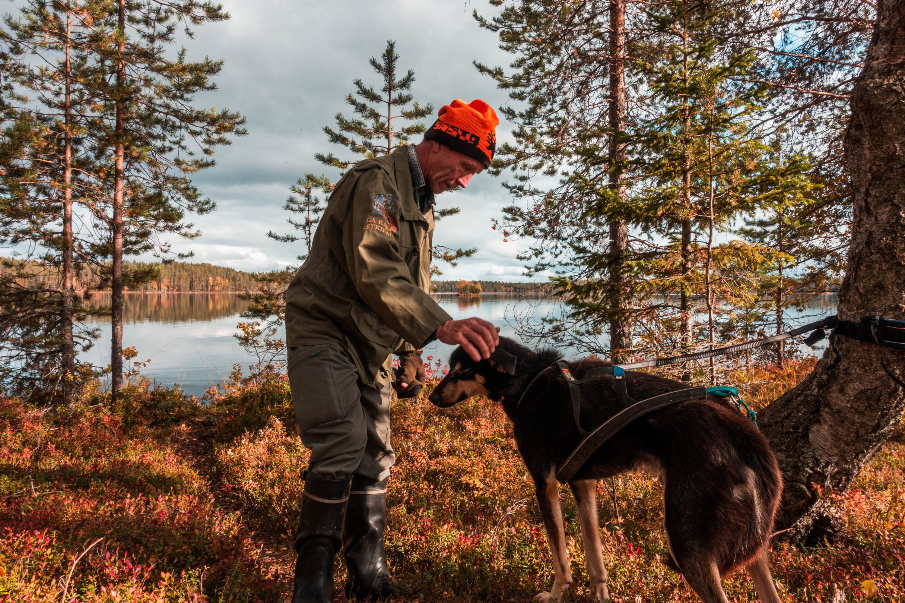 Mies ja koira syksyisessä järvimaisemassa