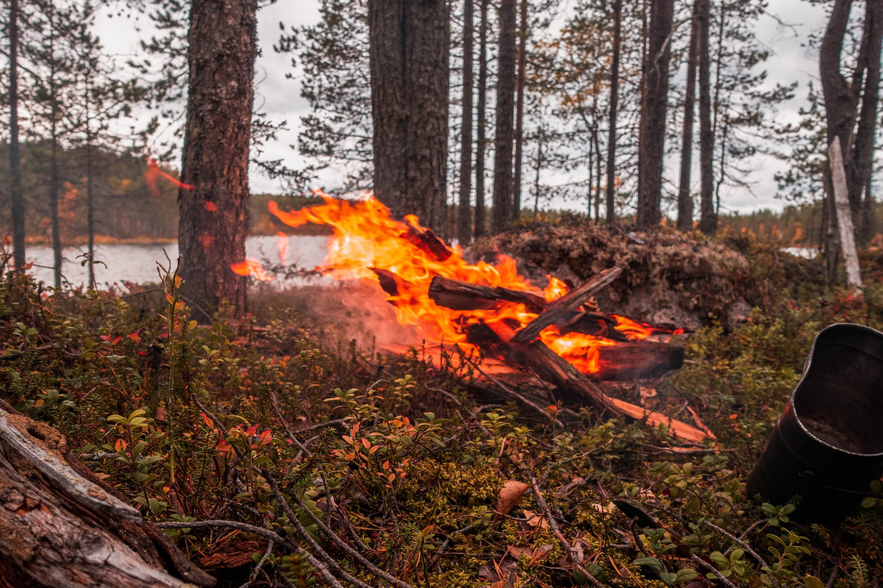 Nuotio palaa metsän keskellä