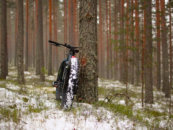 seikkailuyhtiö-vaara-fatbike