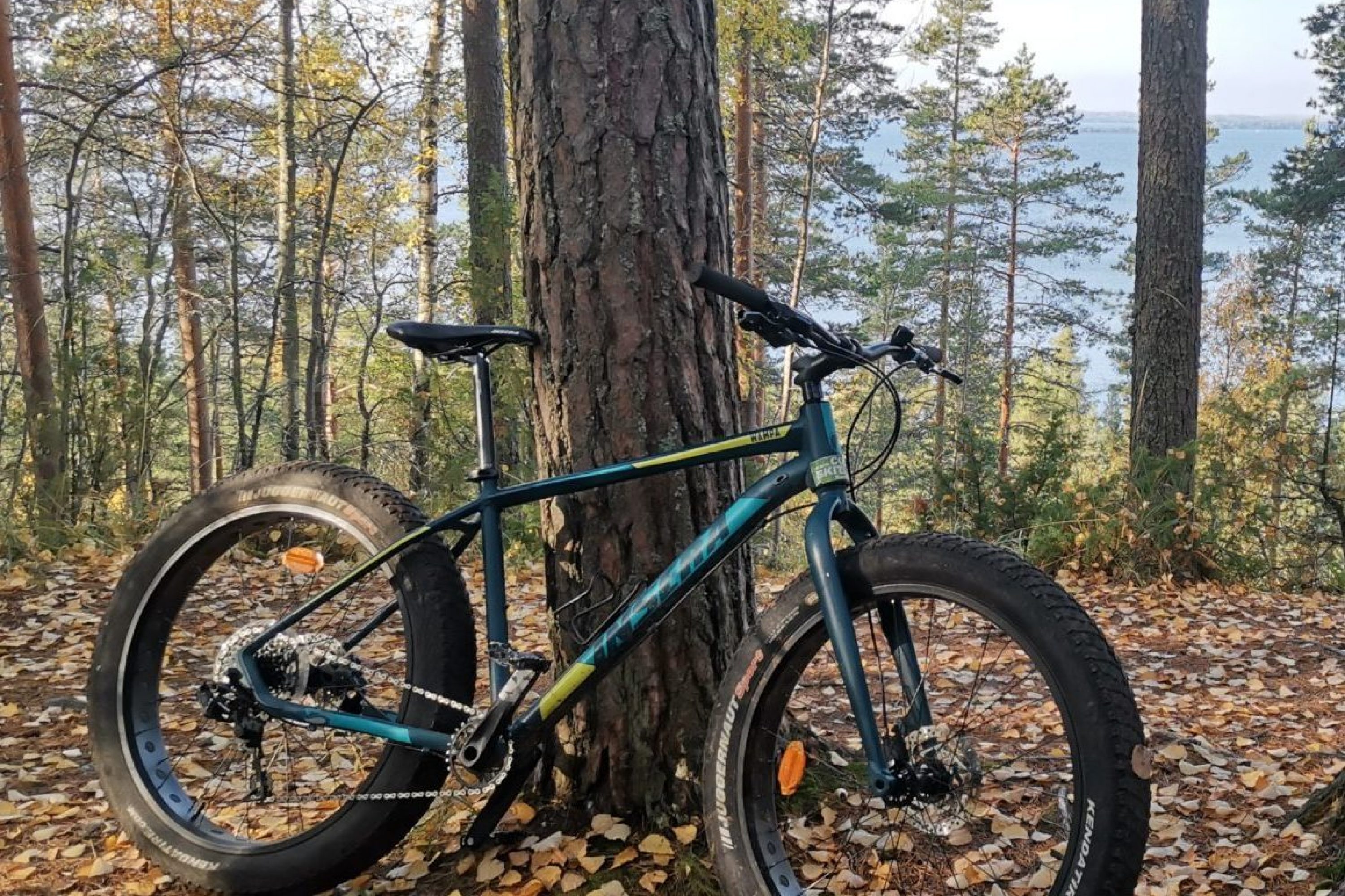 vk-kontiolahti-fatbike-kontionpolut