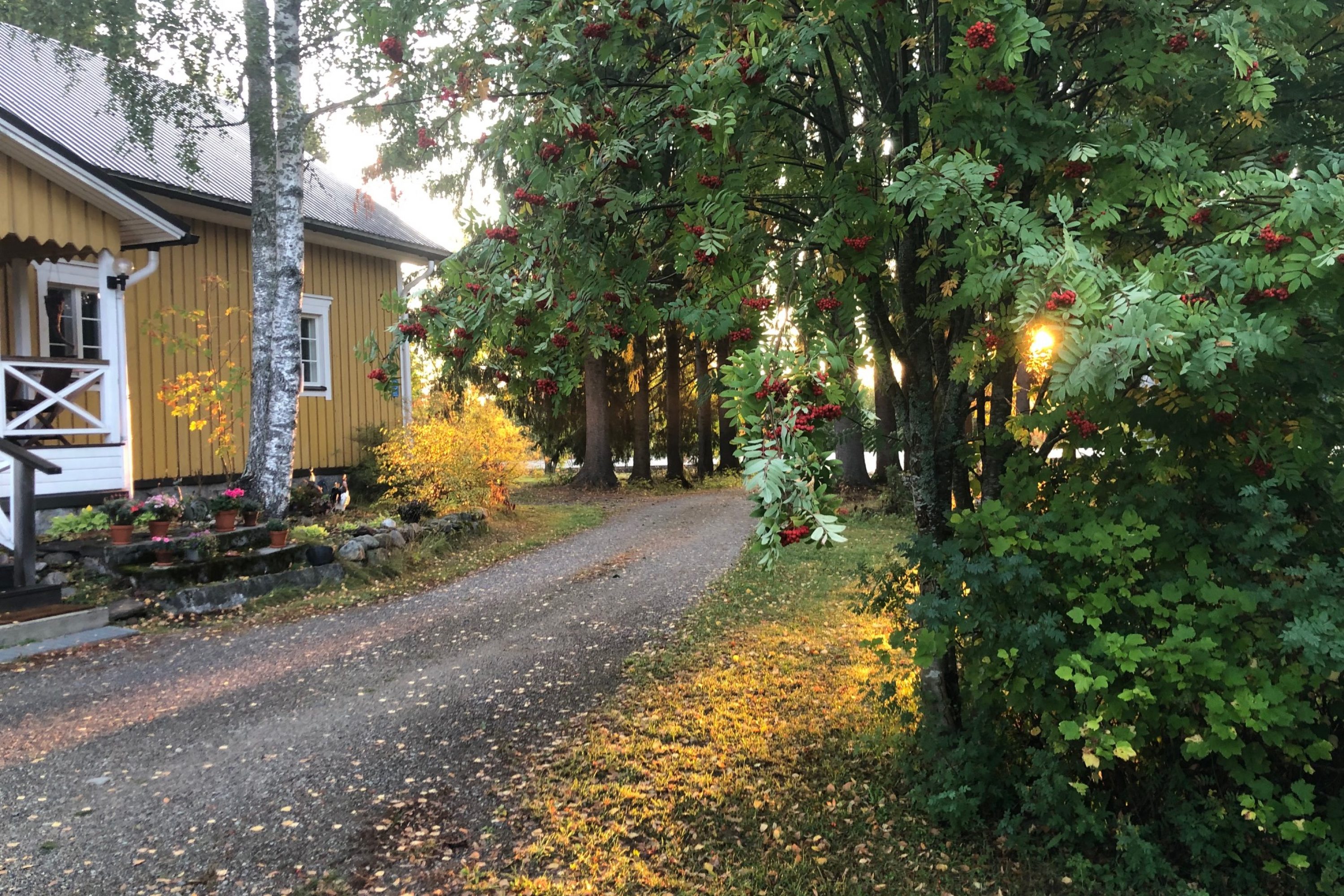 Ollilan tupa syksyllä