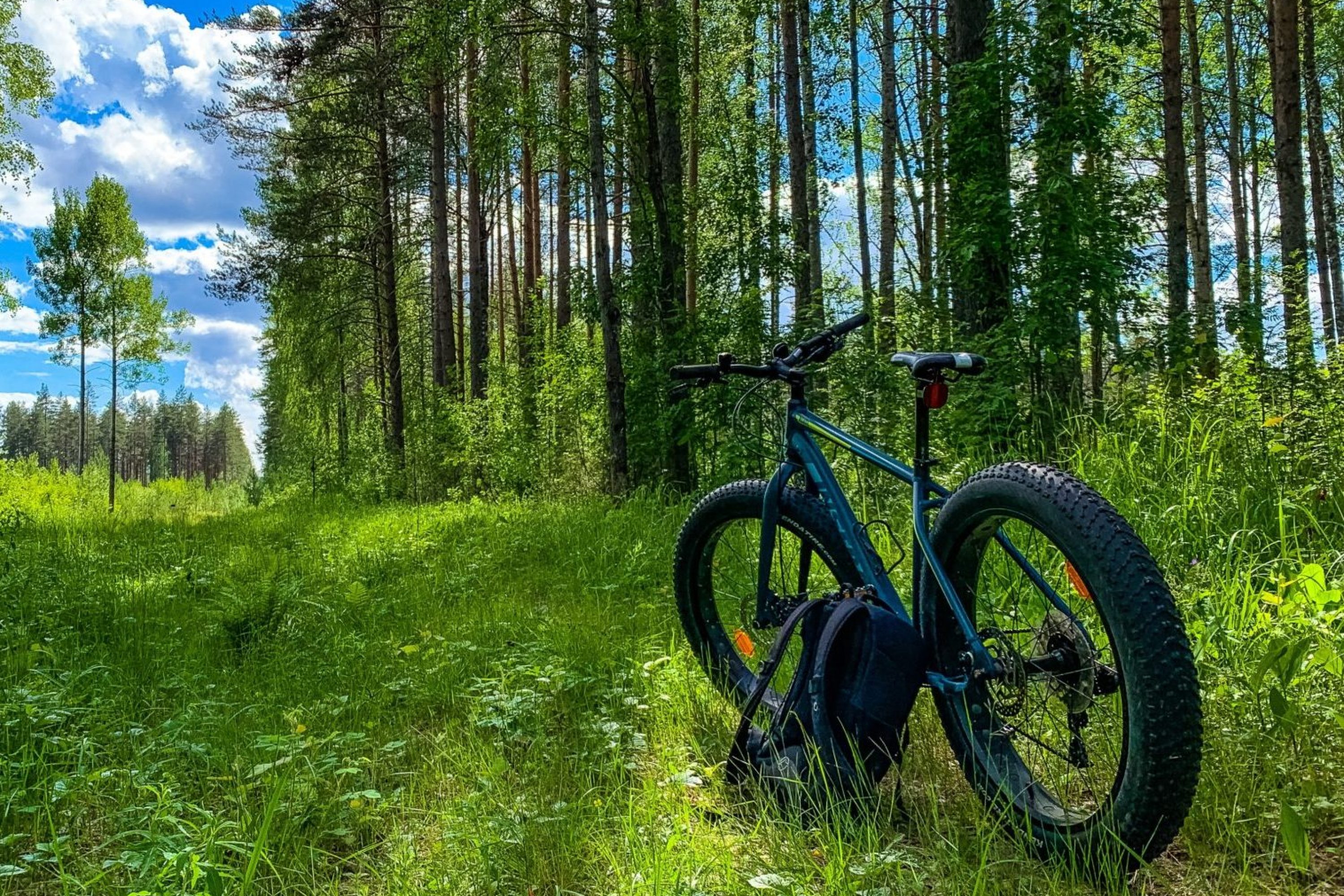 Maastopyörä vehreässä maastossa
