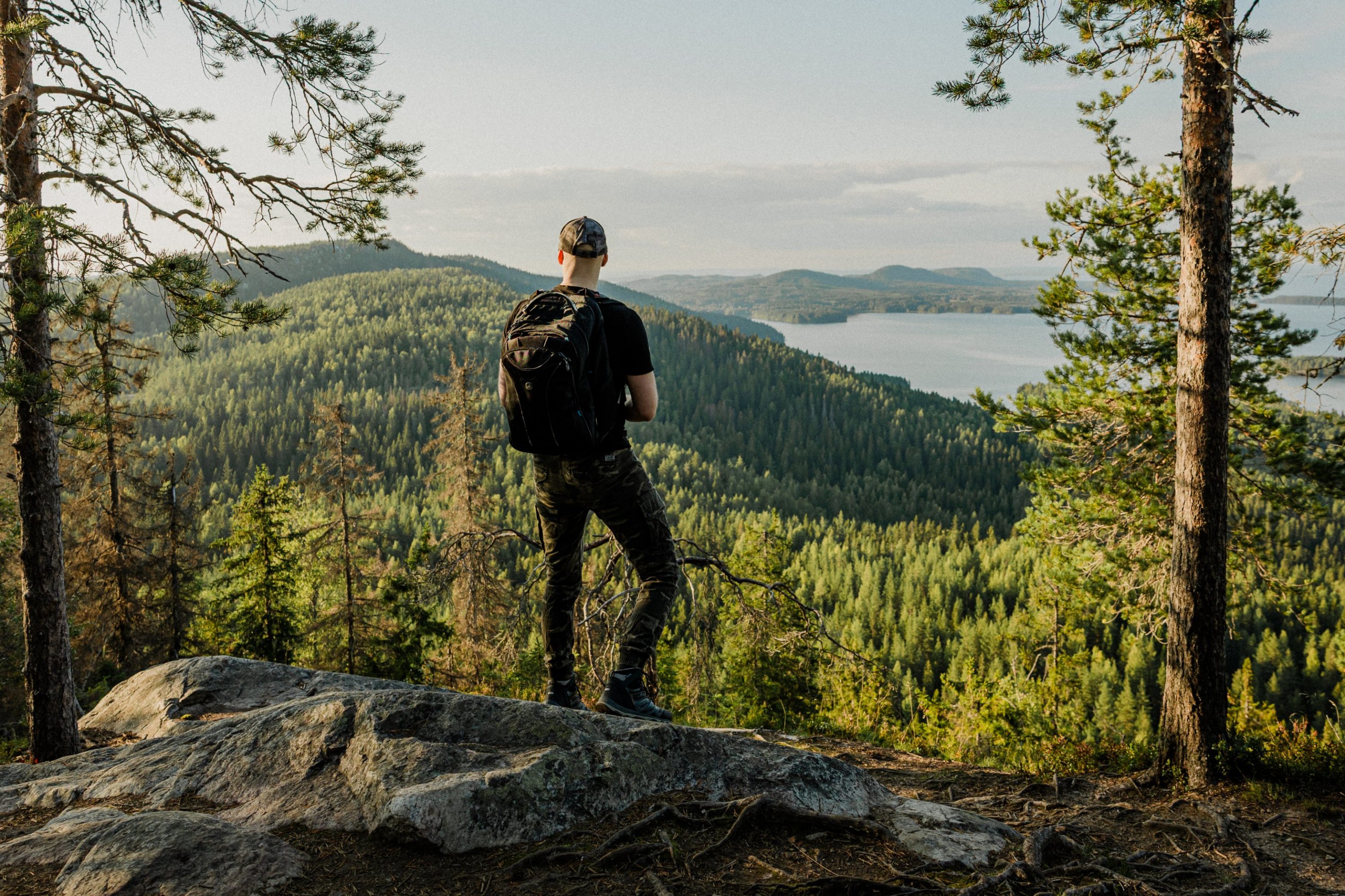 Mies seisomassa Kolin kansallismaisemassa