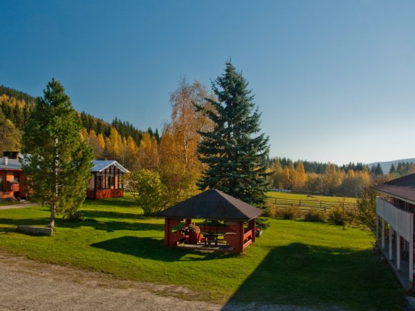 Paimentupa-majoitus-kolilla-lieksassa