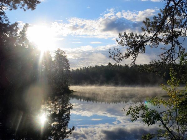 Tyyni järvenpinta auringonpaisteessa