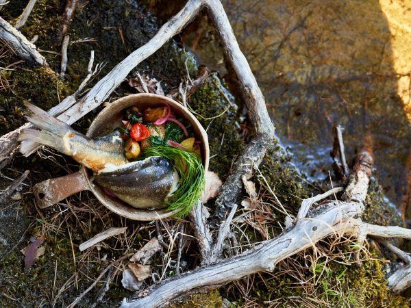 Kalasta valmistettu retkiruoka