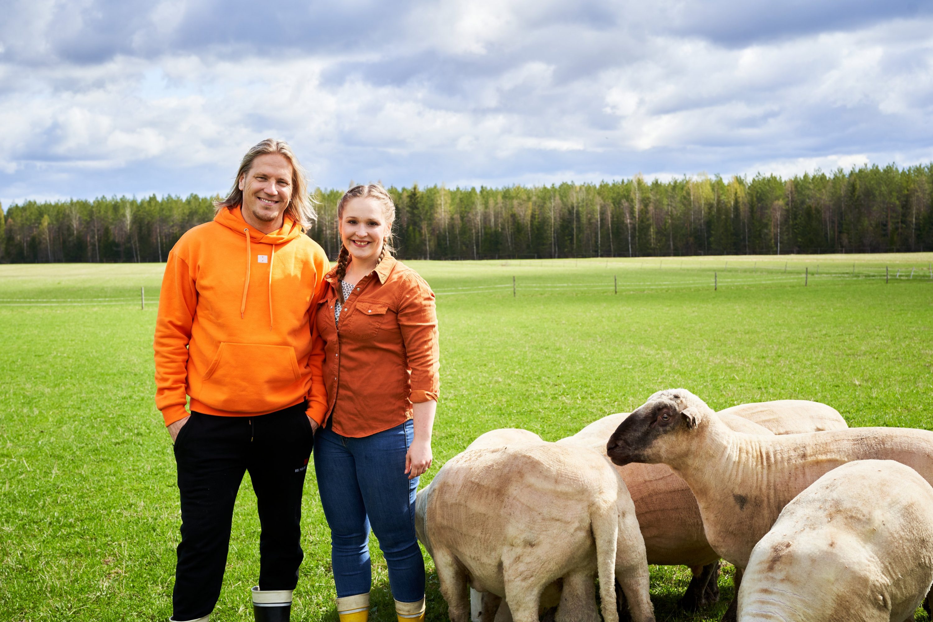 Mies ja nainen lampaiden kanssa pellolla Tohmajärvellä