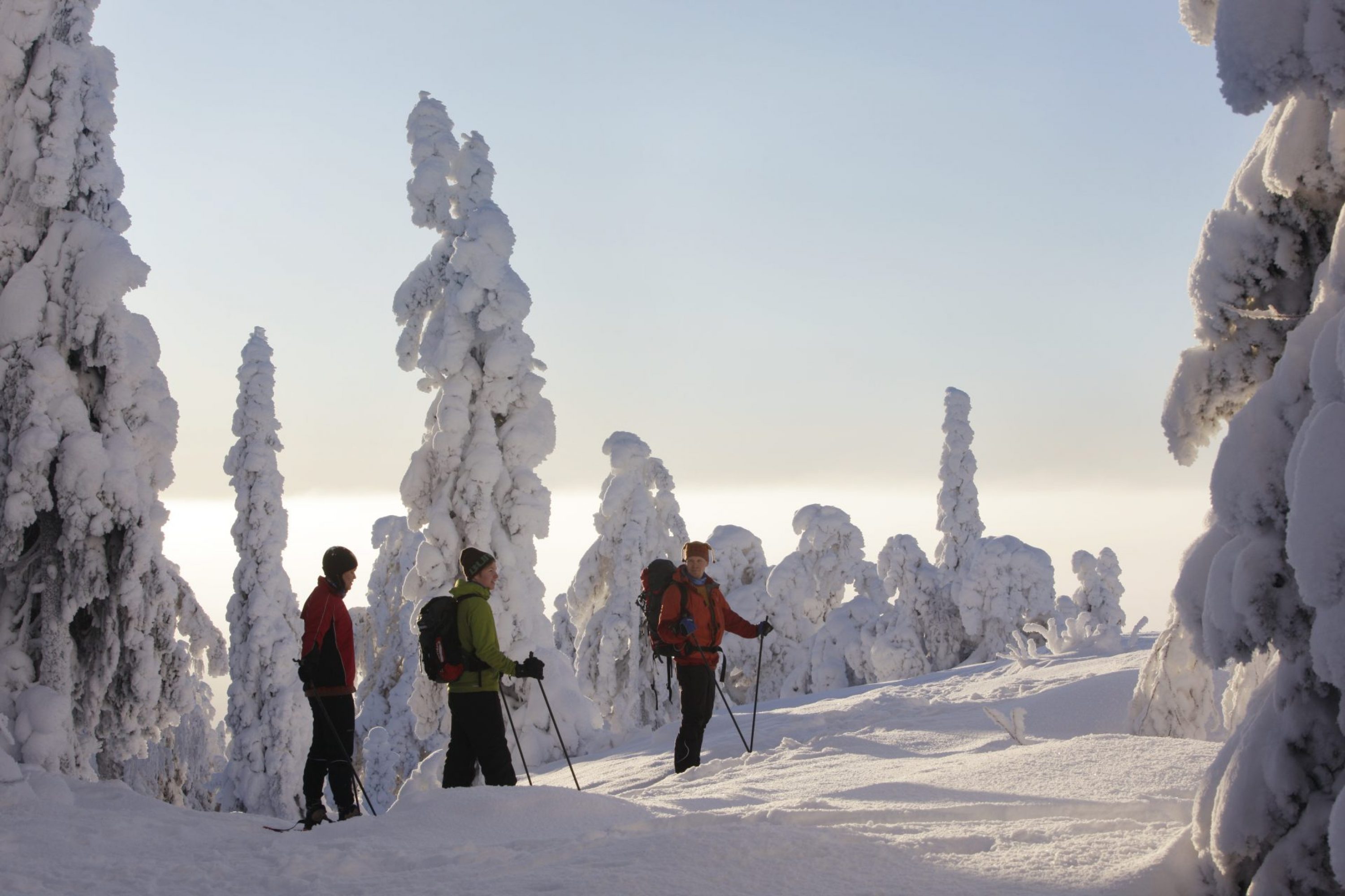 vk-koli-hiihto-talvi