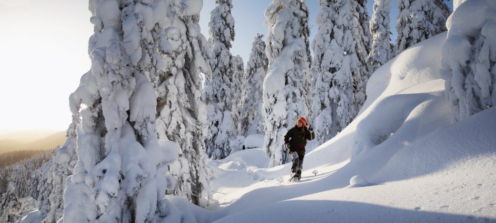 vk-winter-koli