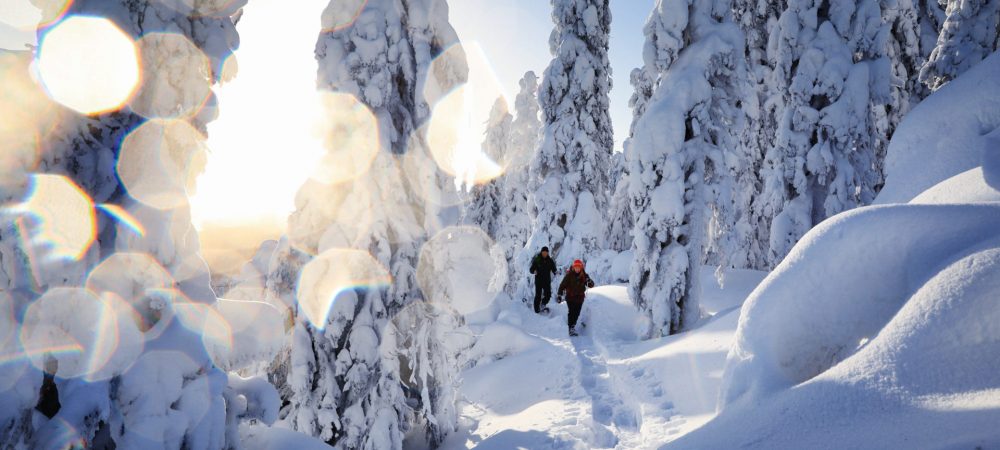 vk-koli-national-park-winter-snowshoeing