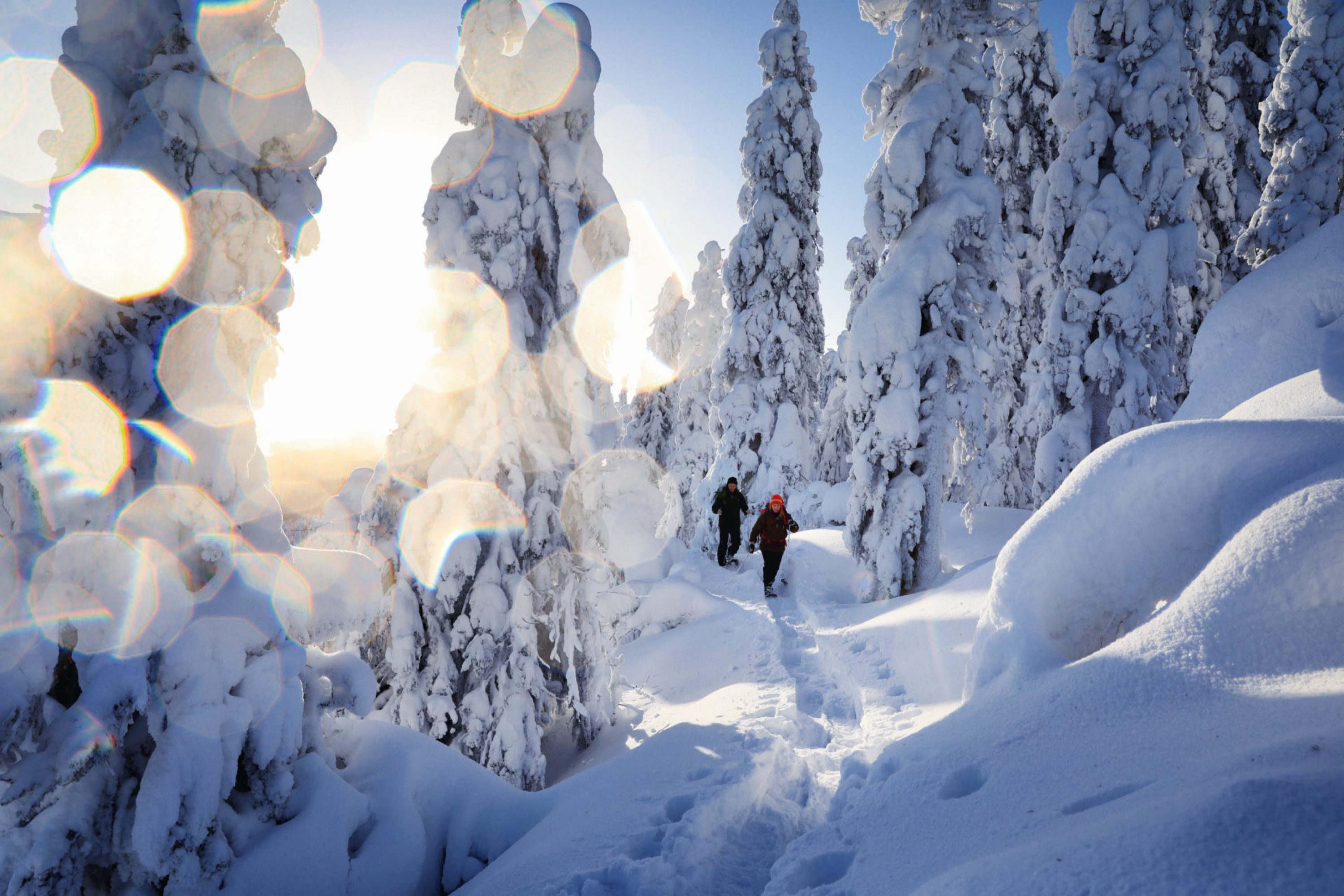 vk-koli-national-park-winter-snowshoeing