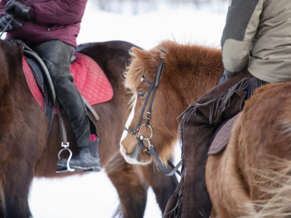 vk-riding-in-the-winter