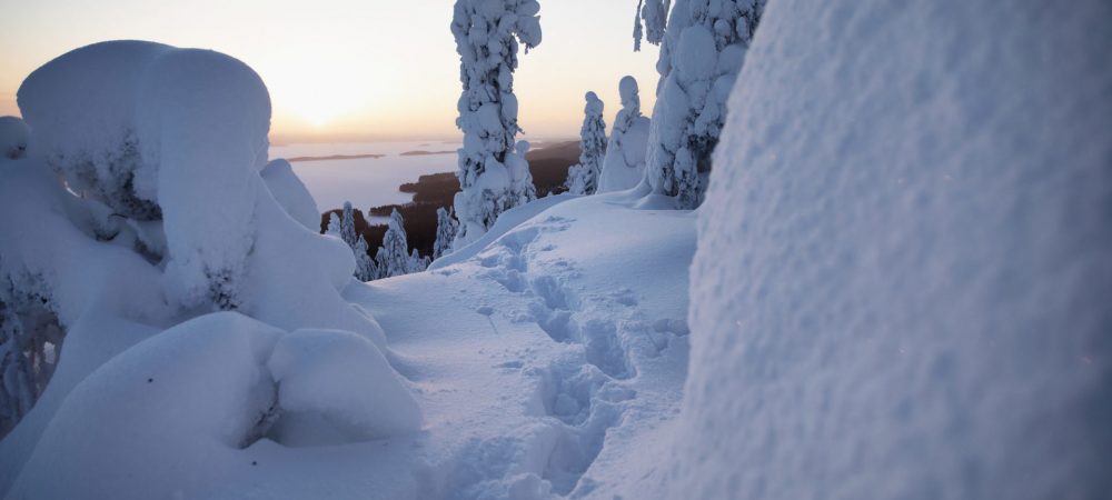 Lumikengän jäljet Kolin huipulla