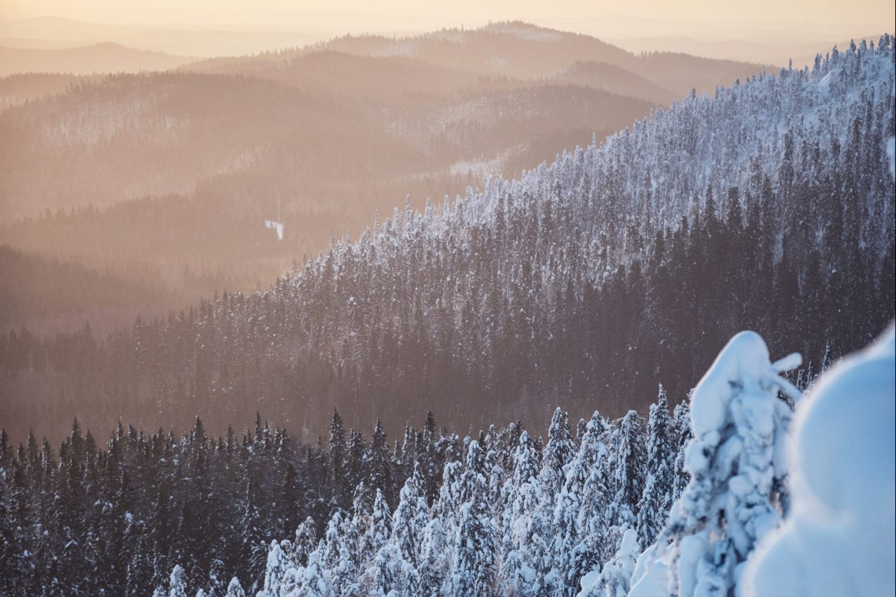 VK-talvinen-maisema-kolilta