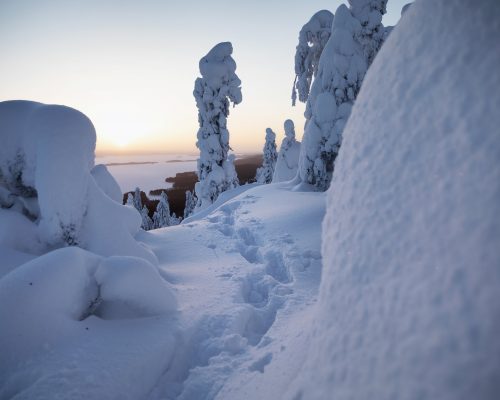 https://www.visitkarelia.fi/files/visitkarelia_harri-tarvainen_winter_koli13.jpg