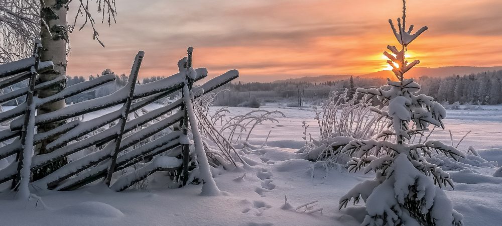 Заснеженный пейзаж с елочкой