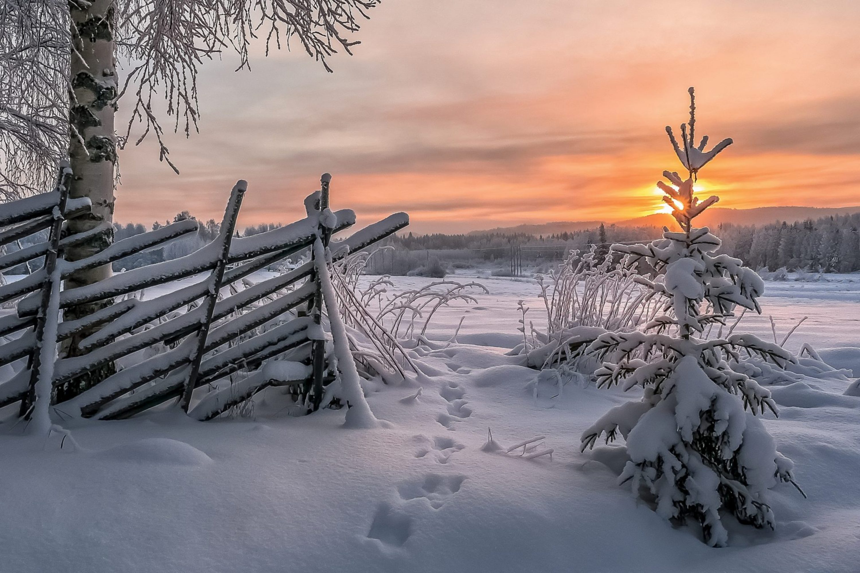 Jäljet lumessa auringonlaskun aikaan