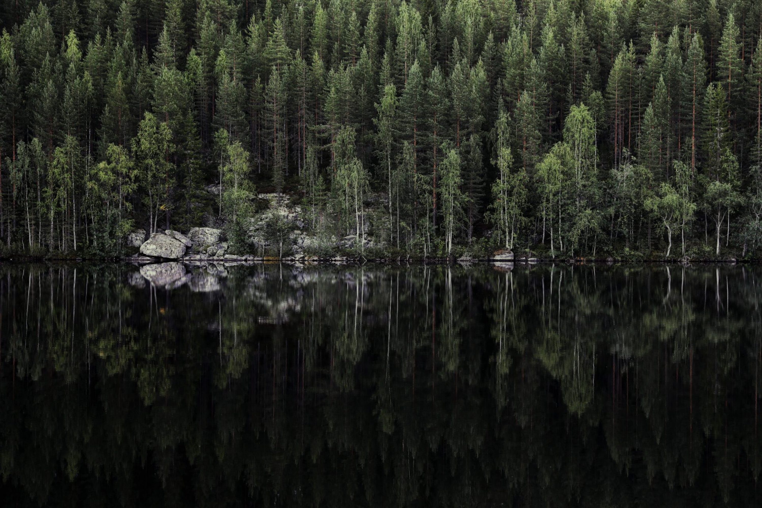 A calm lake with the reflection of rocks and trees