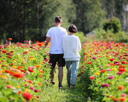 https://www.visitkarelia.fi/files/vk-harri-tarvainen-coupleingarden-jpg-1-e1621856936556.jpg