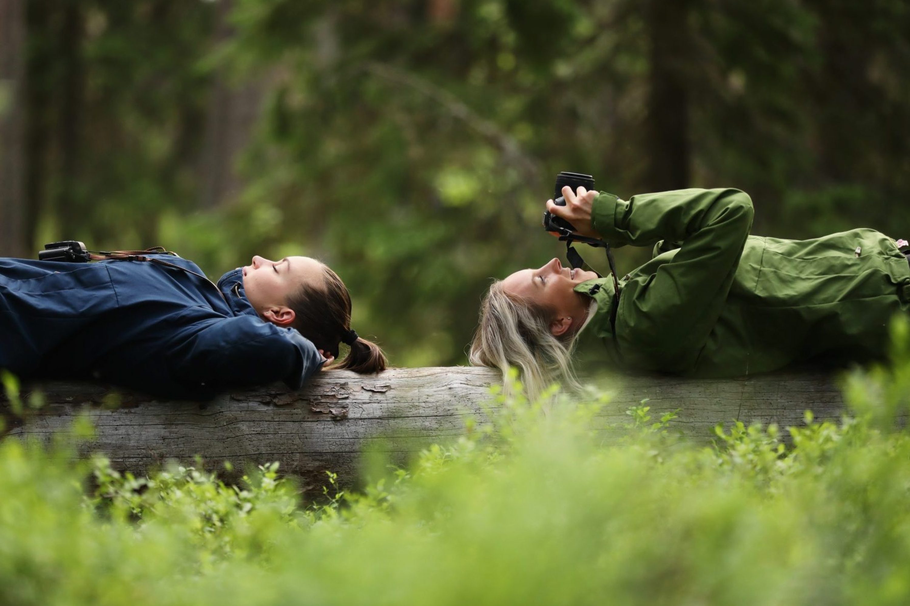 vk-hikers-laying-on-a-wood