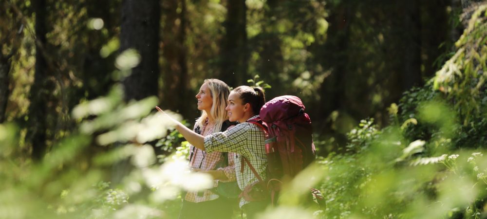 Kaksi retkeilijää keskellä metsää
