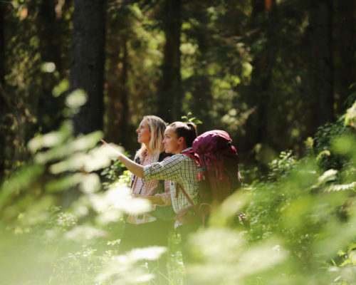 https://www.visitkarelia.fi/files/vk-harri-tarvainen-foresttrip2-jpg.jpg