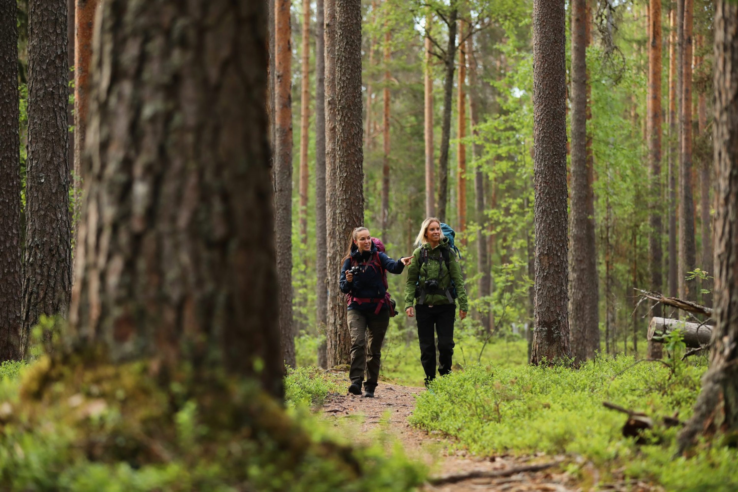 Kaksi naista kävelemässä luontopolulla metsässä