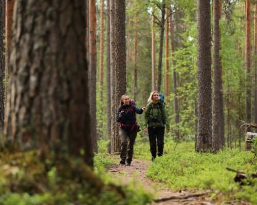 https://www.visitkarelia.fi/files/vk-harri-tarvainen-hikers2-jpg.jpg