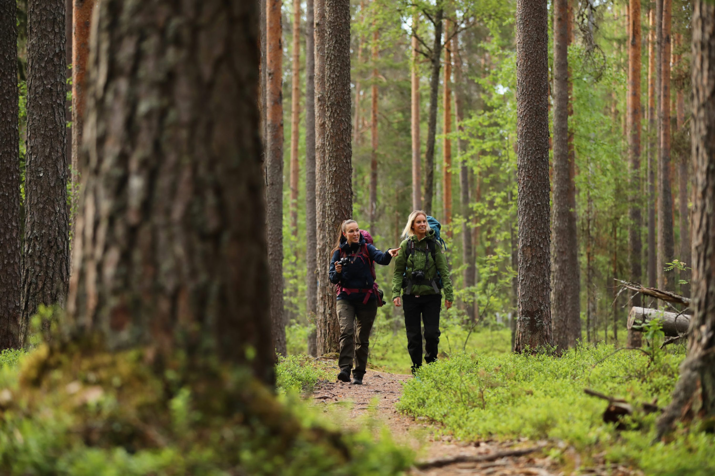 Kaksi naista kävelee metsäpolulla