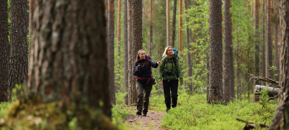 Kaksi retkeilijää metsäpolulla