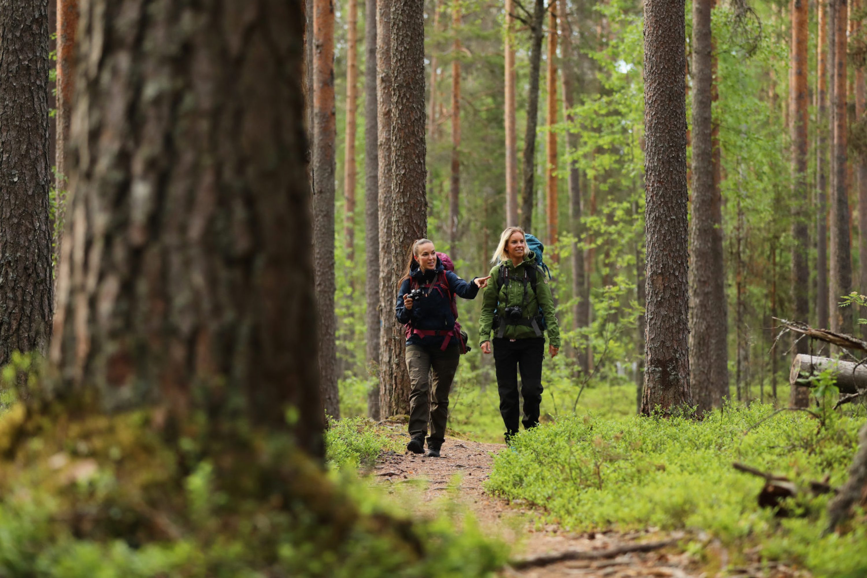 vk-naiset-mäntymetsässä