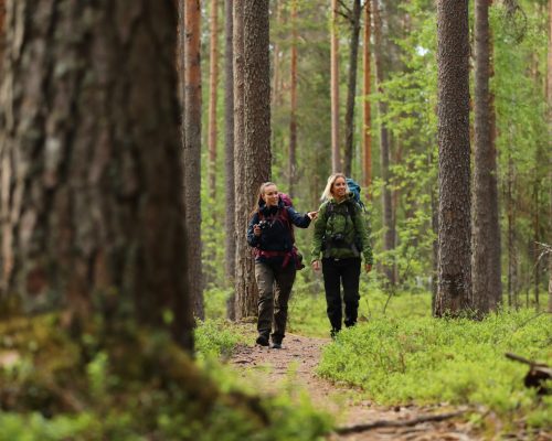 https://www.visitkarelia.fi/files/vk-harri-tarvainen-hikers4-jpg-e1604929683503.jpg