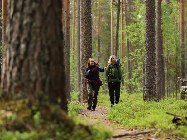 vk-hikers-in-the-forest