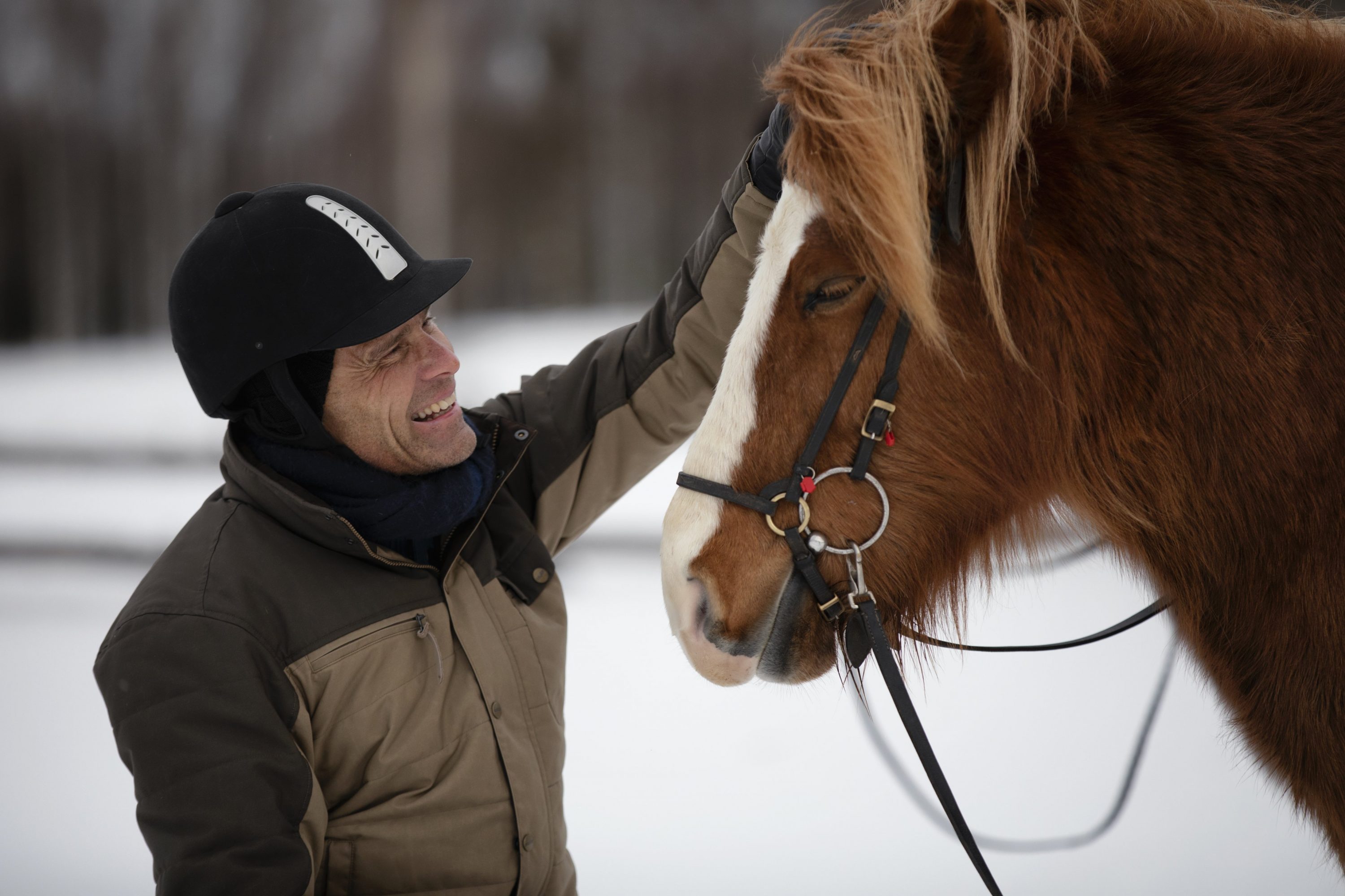 vk-mies-hevonen-horse-winter-koli-talvi
