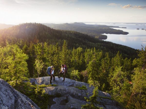 Kaksi retkeilijää Kolin huipulla