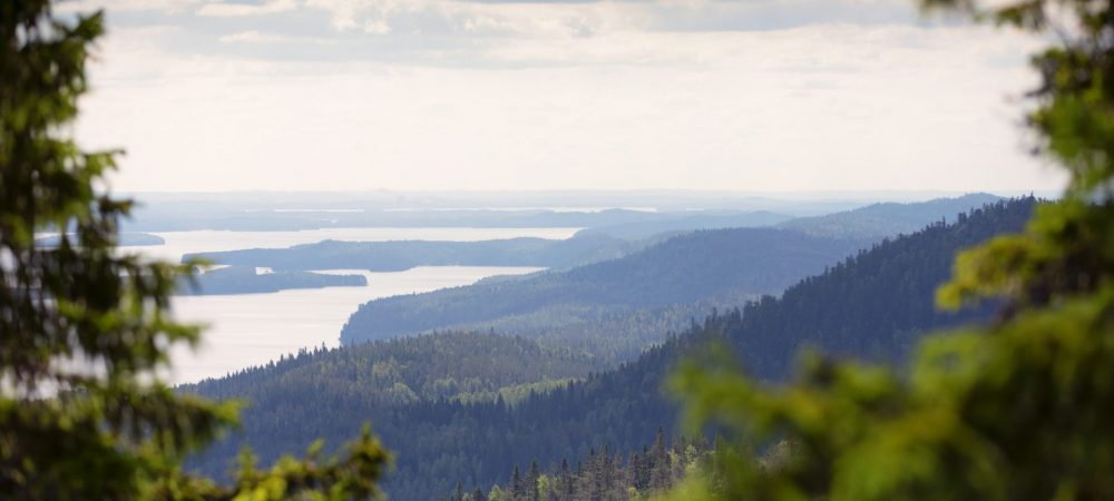 A view to Lake Pielinen from Koli Hills