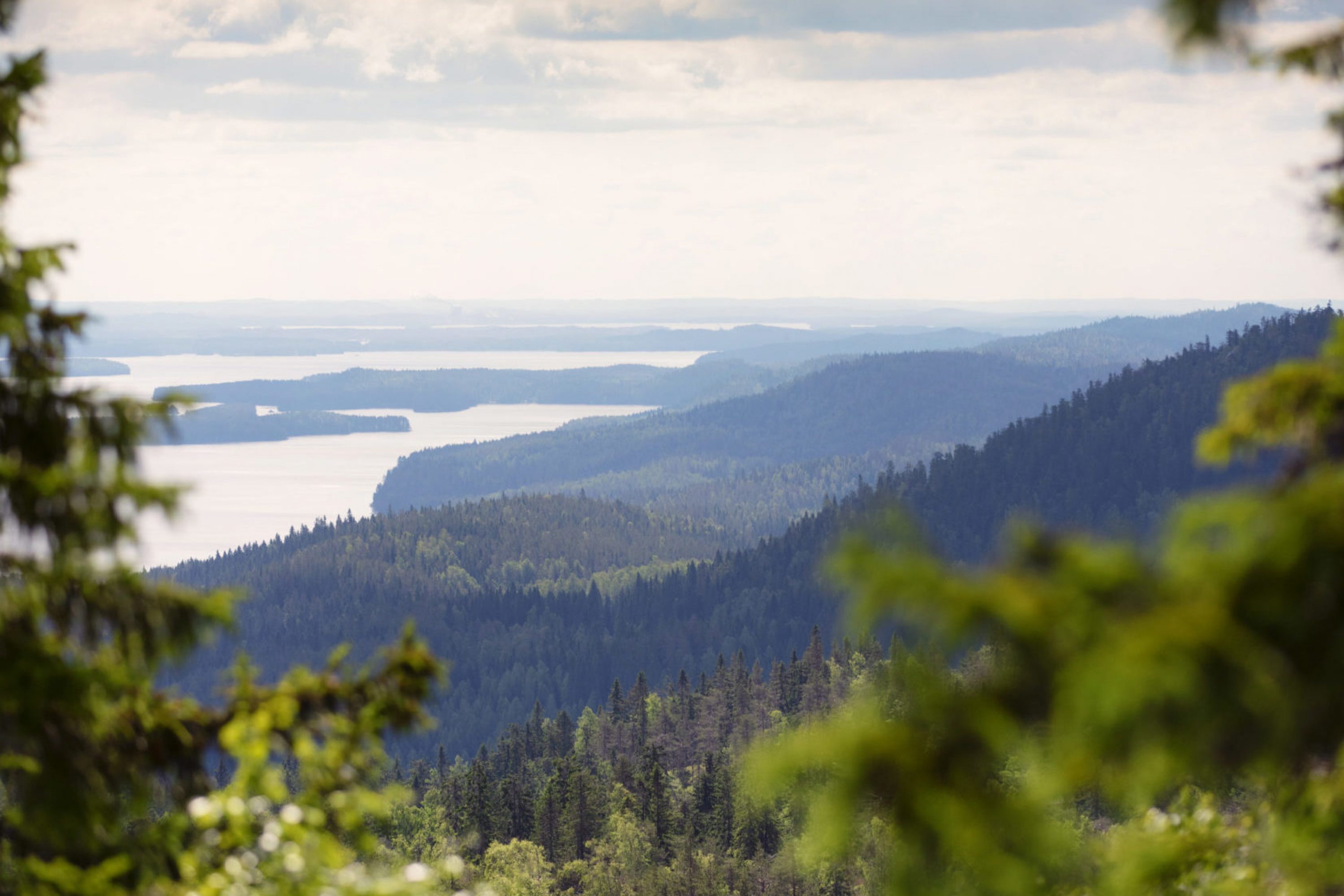 vk-koli-view-summer