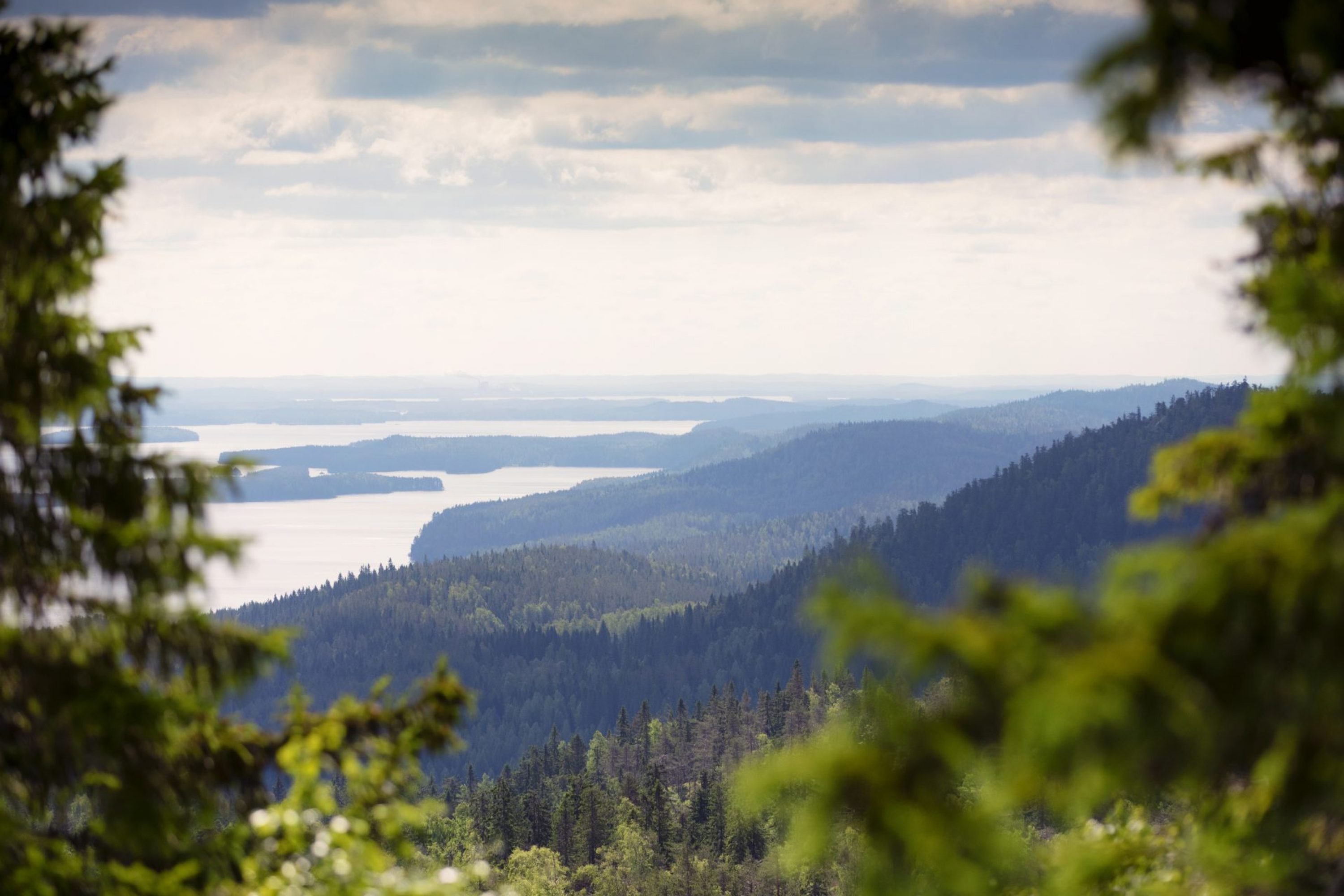 A view over the Koli National Park to Lake Pielinen