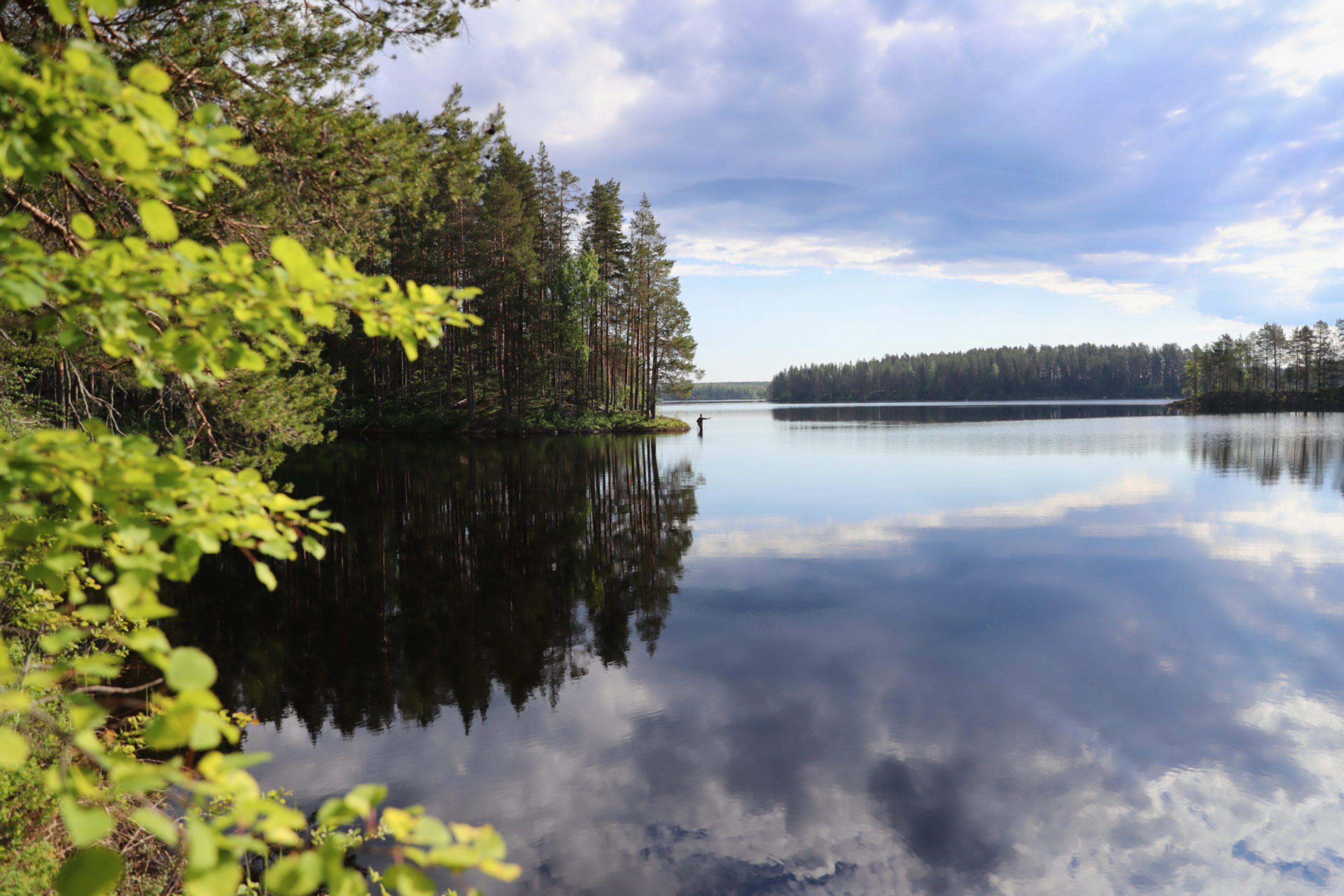 vk-lake-view-in-the-summer