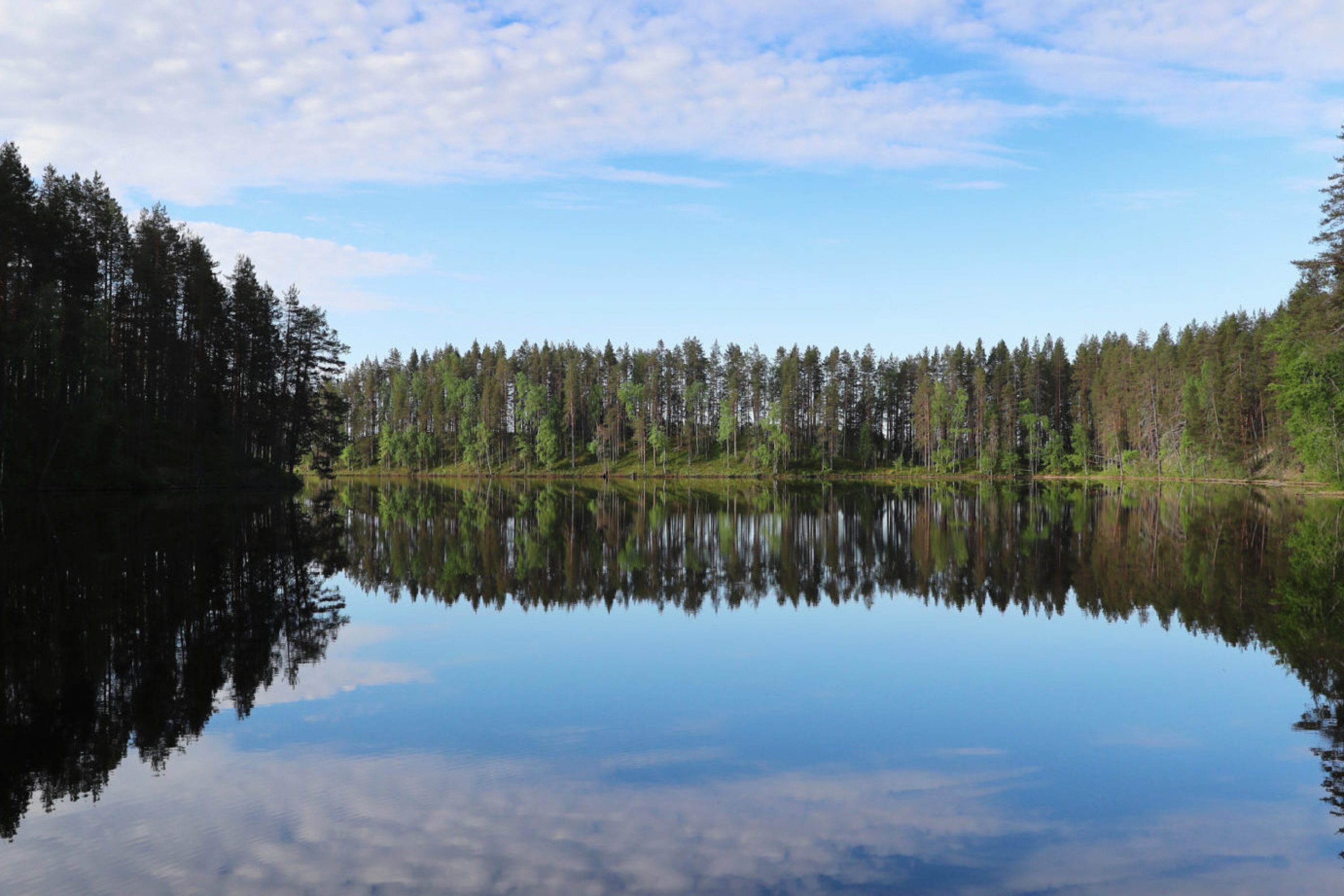 Tyyni järvenpinta metsämaisemassa