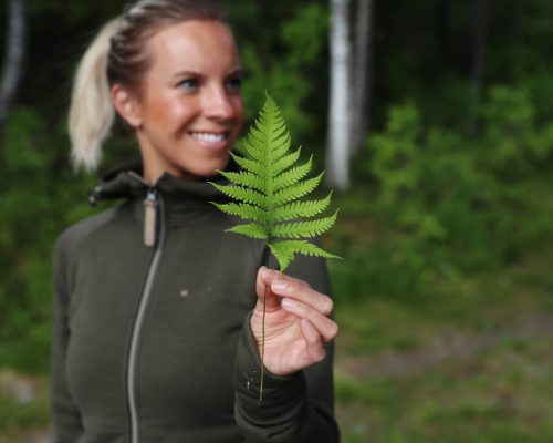 https://www.visitkarelia.fi/files/vk-harri-tarvainen-leaf-jpg-1.jpg