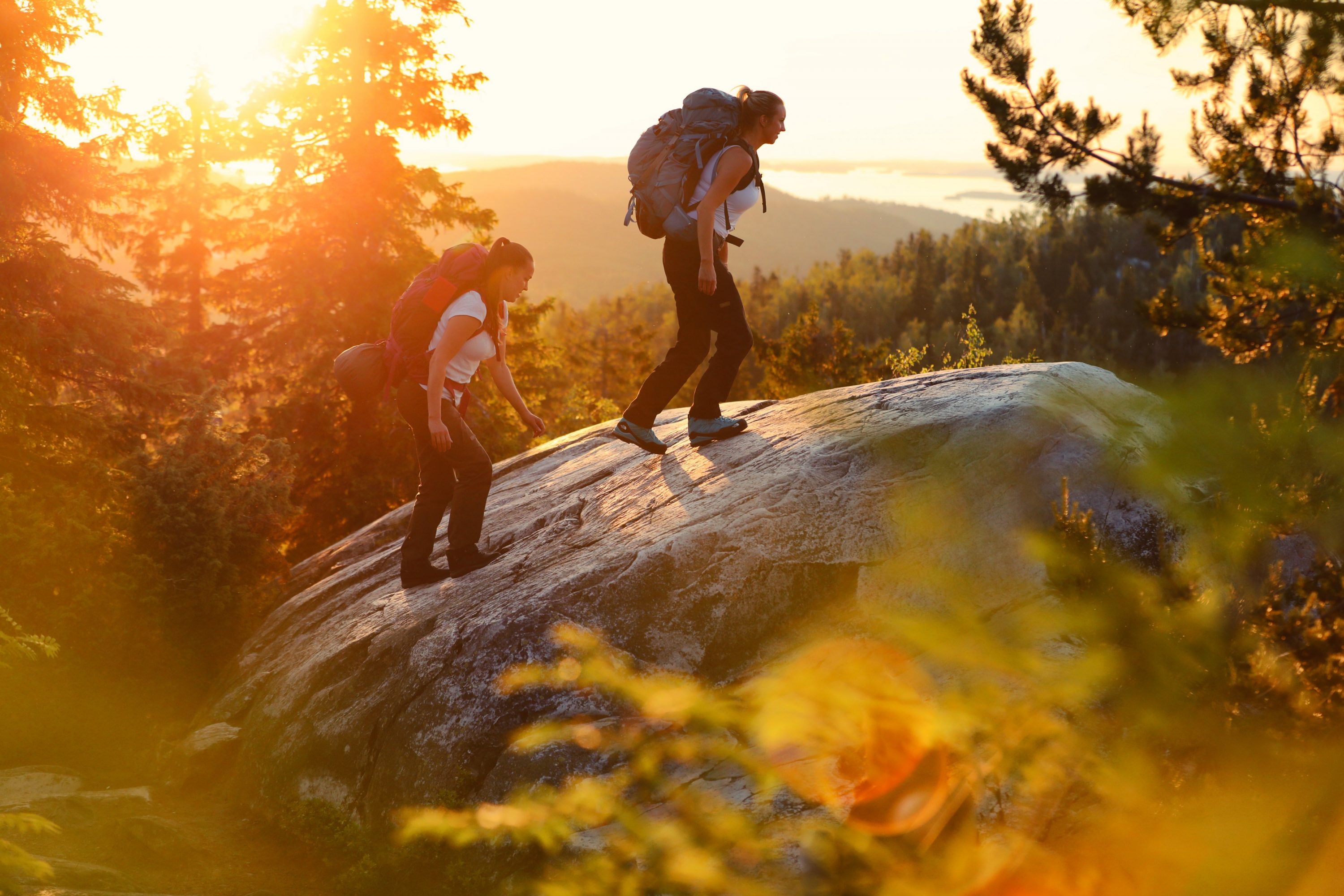 Two hikers walking on Koli hills