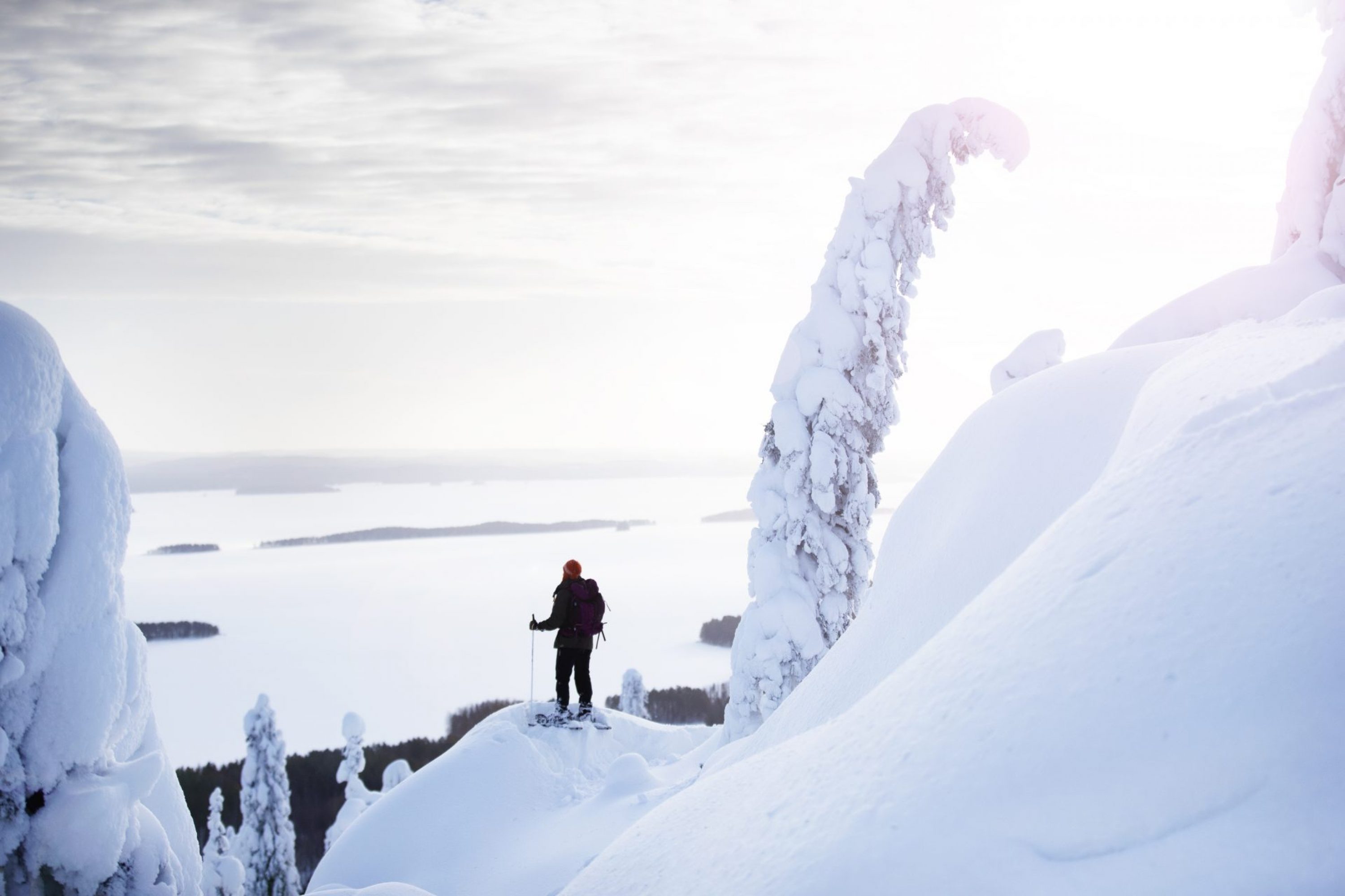 A woman watching the national landscape of Koli by winter