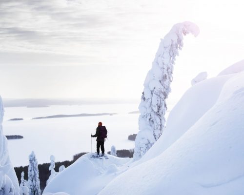 https://www.visitkarelia.fi/files/vk-harri-tarvainen-wintertrip3-jpg-1.jpg