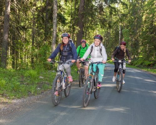 https://www.visitkarelia.fi/files/vk-jarno-artika-bikes-jpg-1.jpg